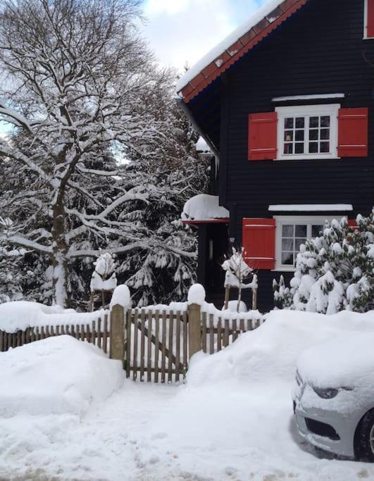 Villa Herzog - Ferienhaus Fuer 6 Personen In Braunlage, Harz Exteriér fotografie